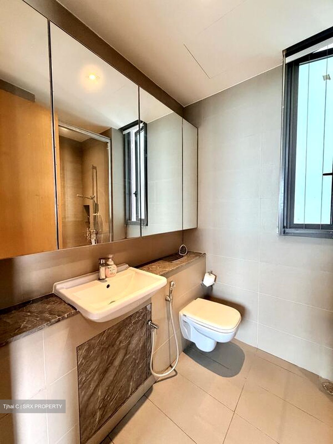 Skyline Residences (D4), Condominium #499920001